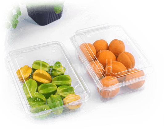 恒硕水果蔬菜塑料盒